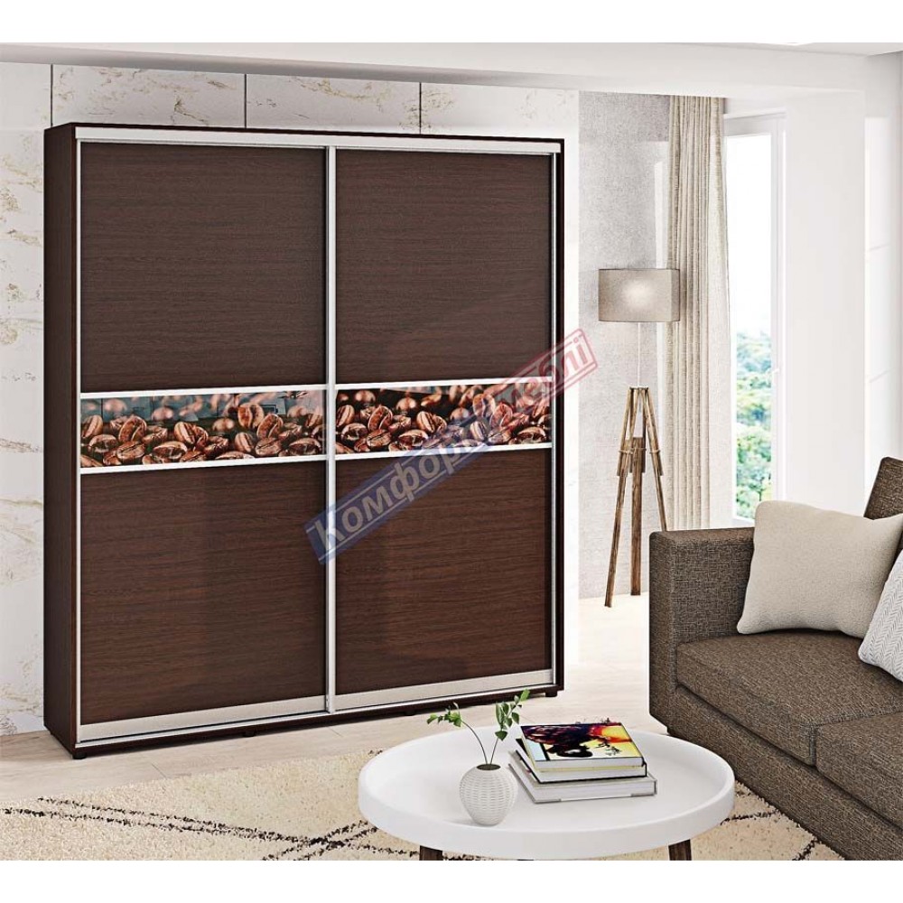 Шкаф-купе (Модель 2) 